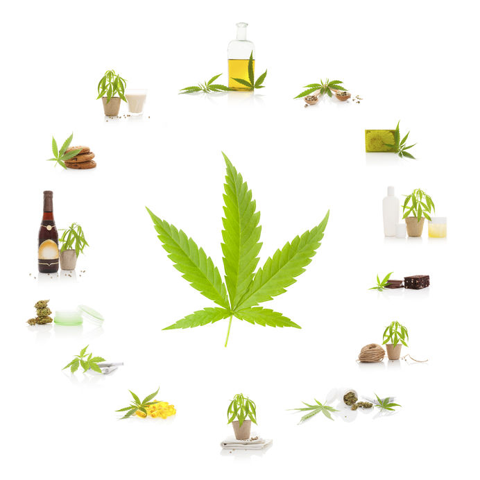 Marijuana Attorney - cannabis and its usage. marijuana leaf and marijuana products isolated on white background. cosmetics, hemp milk, hemp oil, cookies, brownies and nutritional supplements.